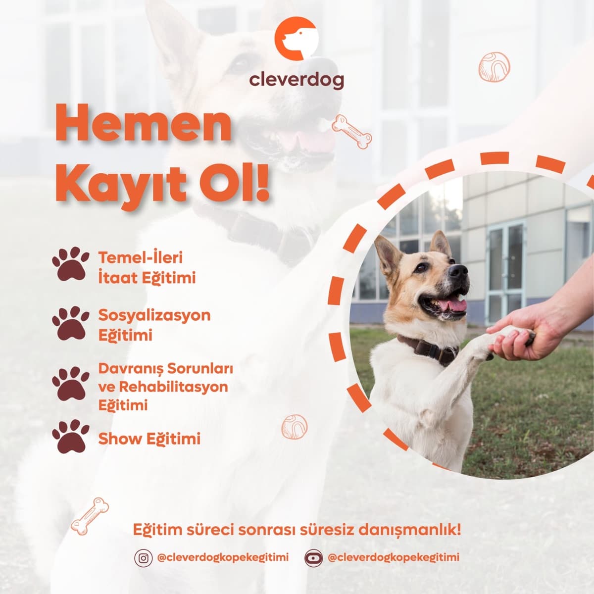 Clever Dog eğitim programları reklamı